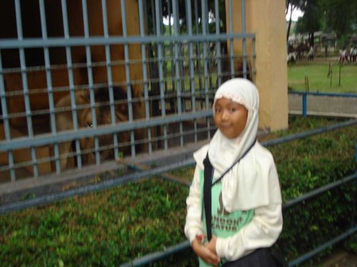 DSC03799_1